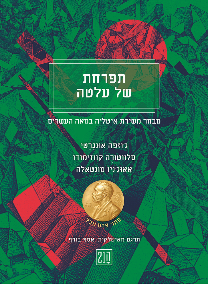 תפרחת של עלטה כריכה