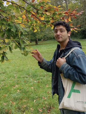 yoel-taieb